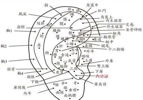 右耳有痣|女人右耳朵有痣图解 耳朵痣十大福痣图片